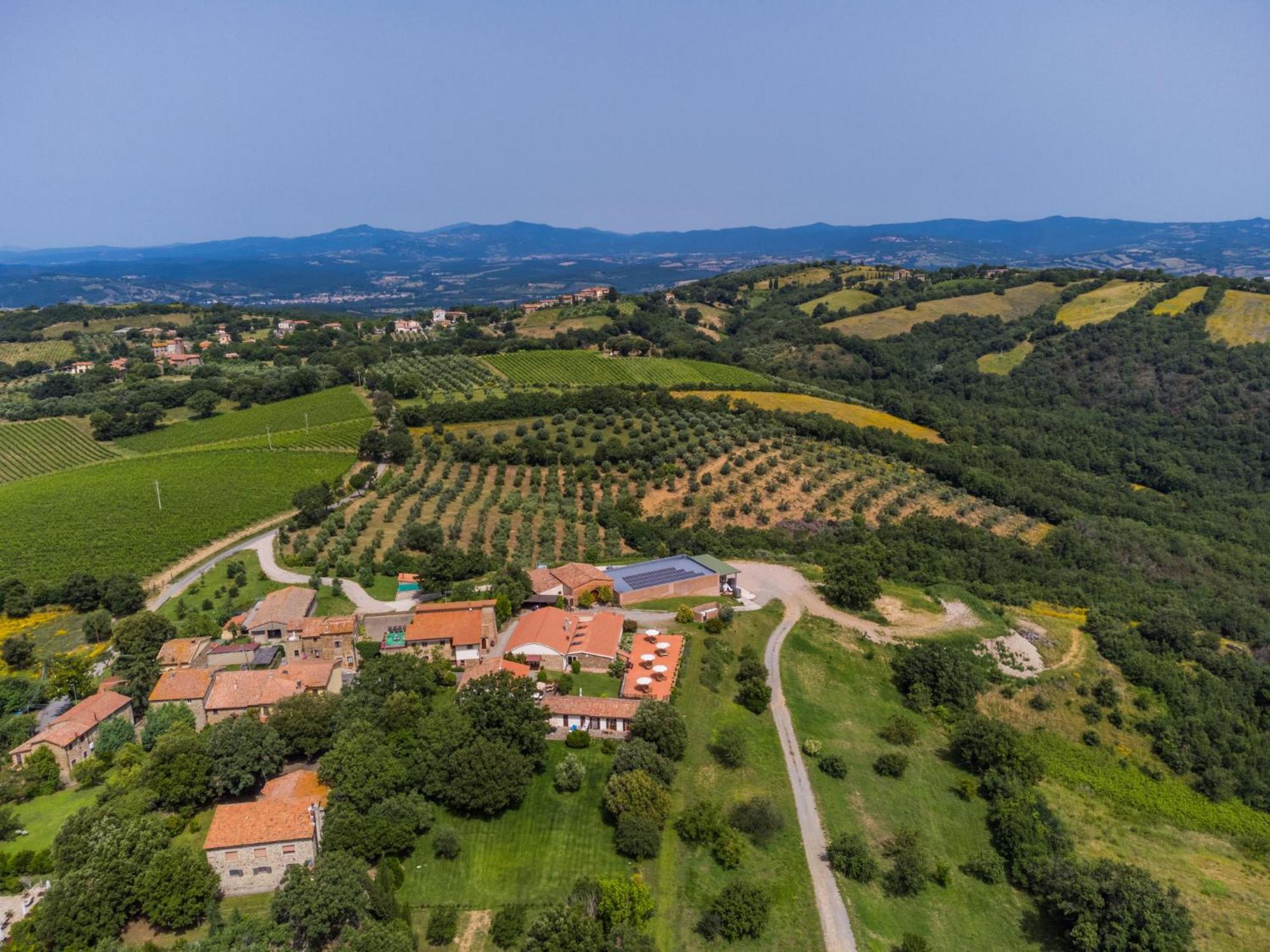 Holiday Home Ciliegiolo By Interhome 奇尼基亚诺 外观 照片